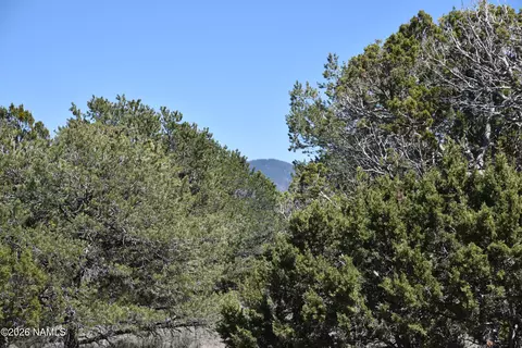 7590 Daisy Dr, Williams, AZ 86046 photo 15