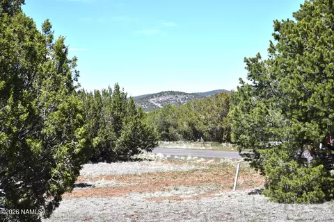 7590 Daisy Dr, Williams, AZ 86046 photo 10