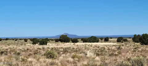 2816 E Wingfield Rd, Williams, AZ 86046 photo 3