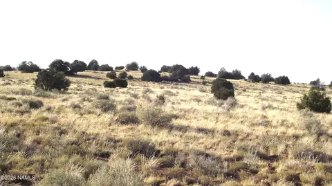 3368 E Antelope, Williams, AZ 86046 photo 3