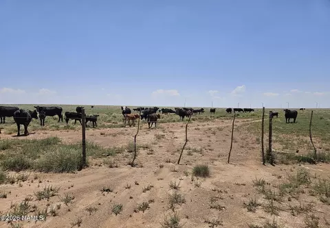 Near Old Holbrook Rd Road, Holbrook, AZ 86025