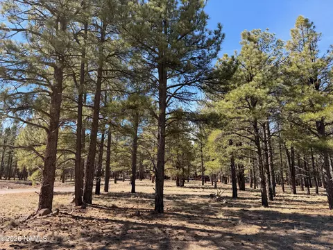 3210 W Northwood Ct, Williams, AZ 86046