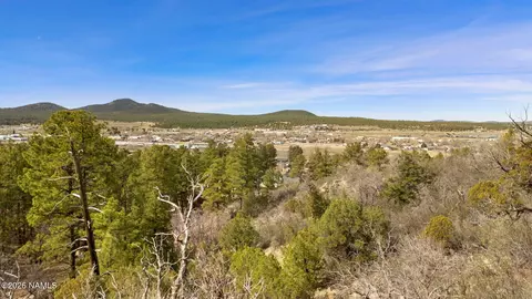00 S Pine St, Williams, AZ 86046 photo 10