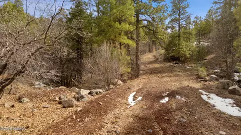 00 S Pine St, Williams, AZ 86046 photo 7
