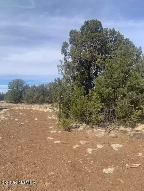 782 E Little Horse Rd, Williams, AZ 86046