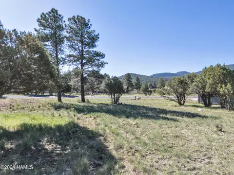 263 Royal Troon Dr #85, Williams, AZ 86046