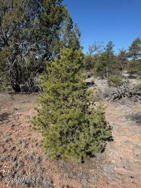 5752 N Hidden Ranch Rd, Williams, AZ 86046