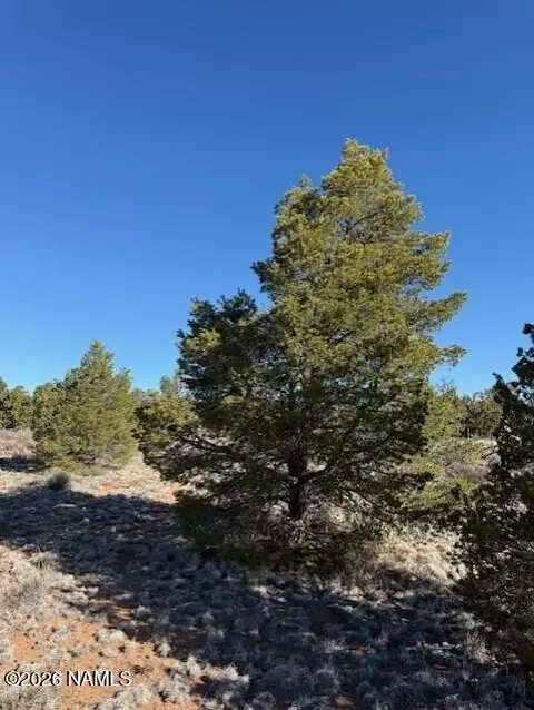 5752 N Hidden Ranch Rd, Williams, AZ 86046