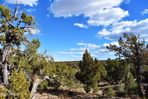 4367 Sunset Ridge Dr, Happy Jack, AZ 86024