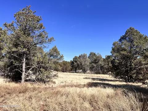 7223 Daisy Dr, Williams, AZ 86046 photo 5