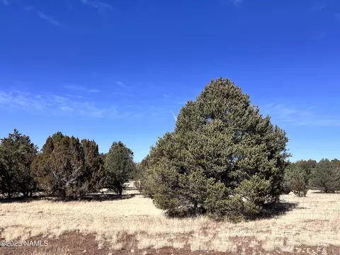 7223 Daisy Dr, Williams, AZ 86046 photo 4