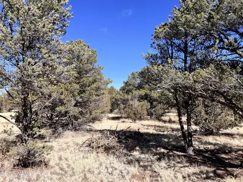 7223 Daisy Dr, Williams, AZ 86046 photo 15