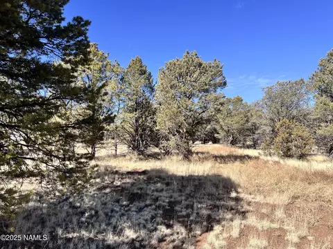 7223 Daisy Dr, Williams, AZ 86046 photo 7