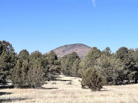 7223 Daisy Dr, Williams, AZ 86046