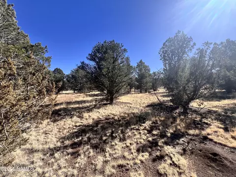 7223 Daisy Dr, Williams, AZ 86046 photo 12