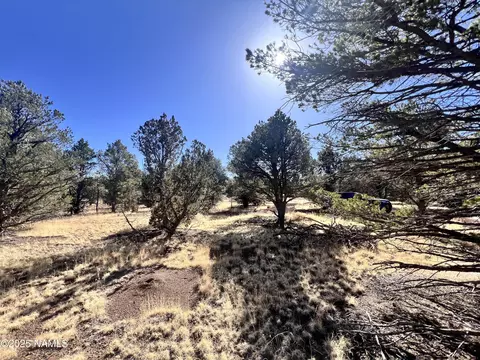 7223 Daisy Dr, Williams, AZ 86046 photo 13