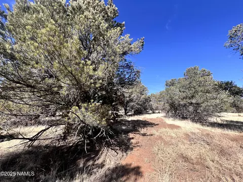 7223 Daisy Dr, Williams, AZ 86046 photo 11