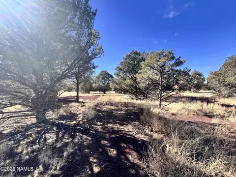 7223 Daisy Dr, Williams, AZ 86046 photo 14