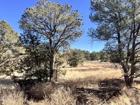 7223 Daisy Dr, Williams, AZ 86046 photo 2