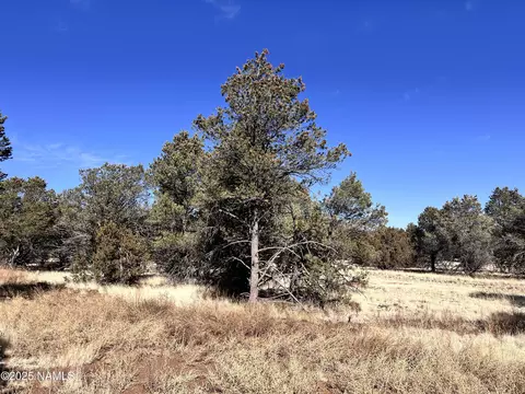 7223 Daisy Dr, Williams, AZ 86046 photo 6