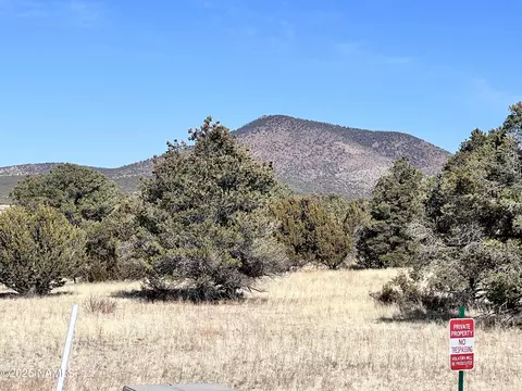 7223 Daisy Dr, Williams, AZ 86046 photo 3
