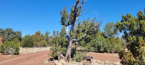 4650 E Juniper Rd, Williams, AZ 86046 photo 3