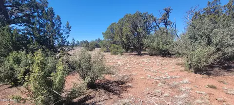 4650 E Juniper Rd, Williams, AZ 86046 photo 22