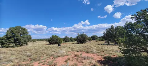 4650 E Juniper Rd, Williams, AZ 86046 photo 4