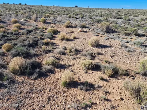 1129 E Waddell Rd, Williams, AZ 86046 photo 2