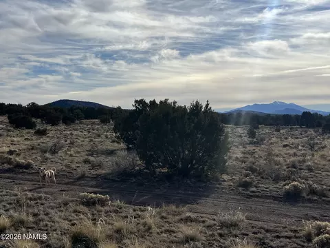 7211 E Roper Lot C 12 Ac Cir, Williams, AZ 86046 photo 21