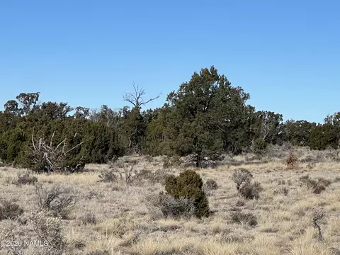 7211 E Roper Lot C 12 Ac Cir, Williams, AZ 86046 photo 14