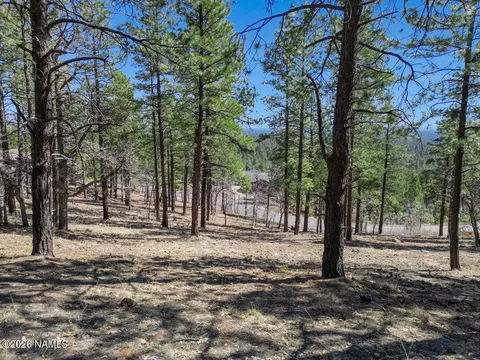 4655 S Snaffle Bit, Flagstaff, AZ 86005 photo 16