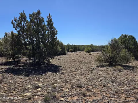 8299 W Clear Fork Loop, Williams, AZ 86046 photo 19