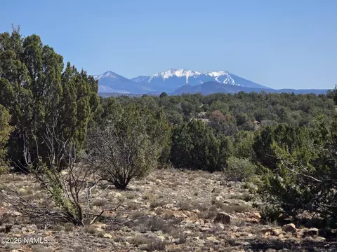8299 W Clear Fork Loop, Williams, AZ 86046