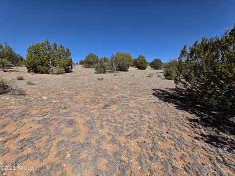8299 W Clear Fork Loop, Williams, AZ 86046 photo 2