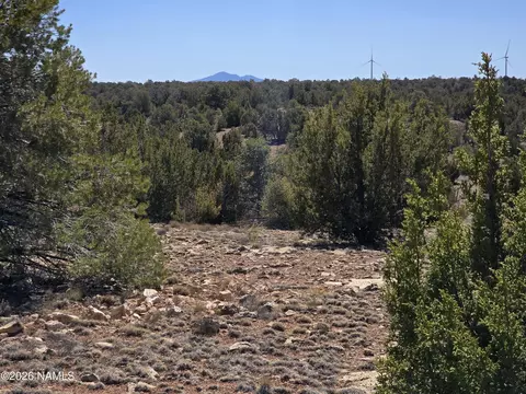 8299 W Clear Fork Loop, Williams, AZ 86046 photo 6