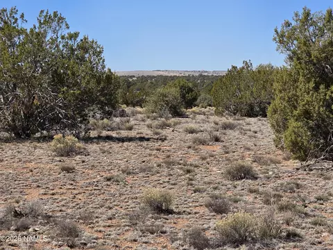 8299 W Clear Fork Loop, Williams, AZ 86046 photo 14