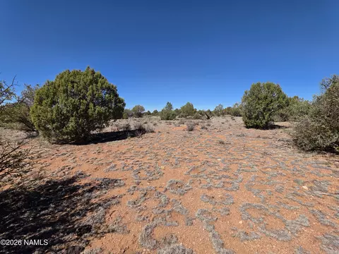 8299 W Clear Fork Loop, Williams, AZ 86046 photo 10