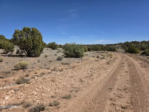 8299 W Clear Fork Loop, Williams, AZ 86046 photo 23