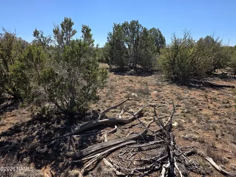 8299 W Clear Fork Loop, Williams, AZ 86046 photo 11