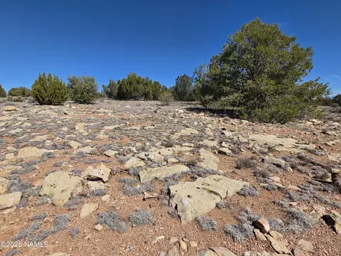 8299 W Clear Fork Loop, Williams, AZ 86046 photo 4