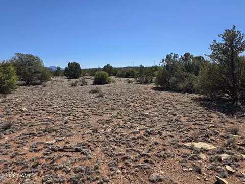 8299 W Clear Fork Loop, Williams, AZ 86046 photo 12