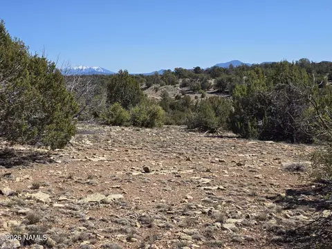 8299 W Clear Fork Loop, Williams, AZ 86046 photo 3
