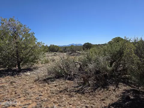 8299 W Clear Fork Loop, Williams, AZ 86046 photo 8