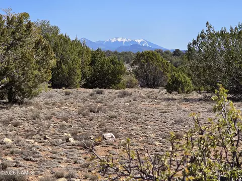 8299 W Clear Fork Loop, Williams, AZ 86046 photo 20