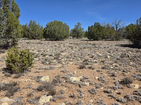 8299 W Clear Fork Loop, Williams, AZ 86046 photo 17