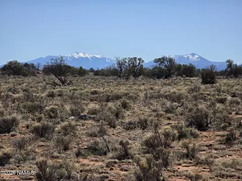 8299 W Clear Fork Loop, Williams, AZ 86046 photo 18