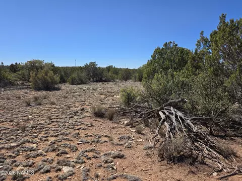 8299 W Clear Fork Loop, Williams, AZ 86046 photo 9