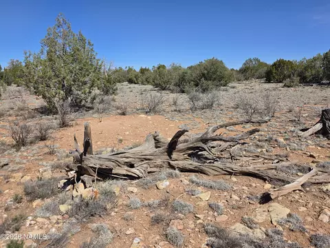8299 W Clear Fork Loop, Williams, AZ 86046 photo 13