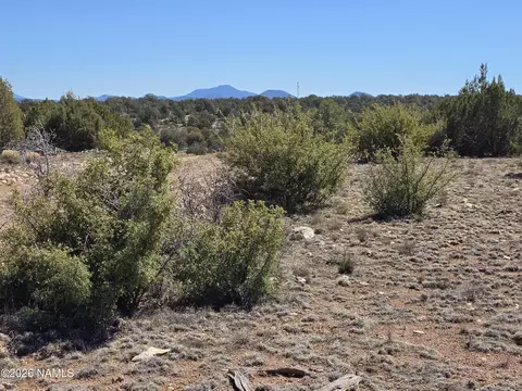 8299 W Clear Fork Loop, Williams, AZ 86046 photo 21